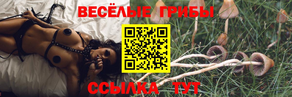 Галлюциногенные грибы Cubensis  Вход с VPN  как найти закладки  Гай 